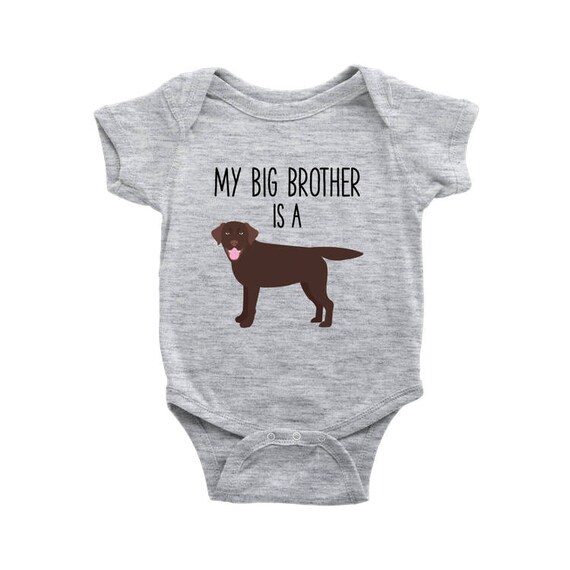 My Big Brother Sister Is A Chocolate Labrador Retriever Baby