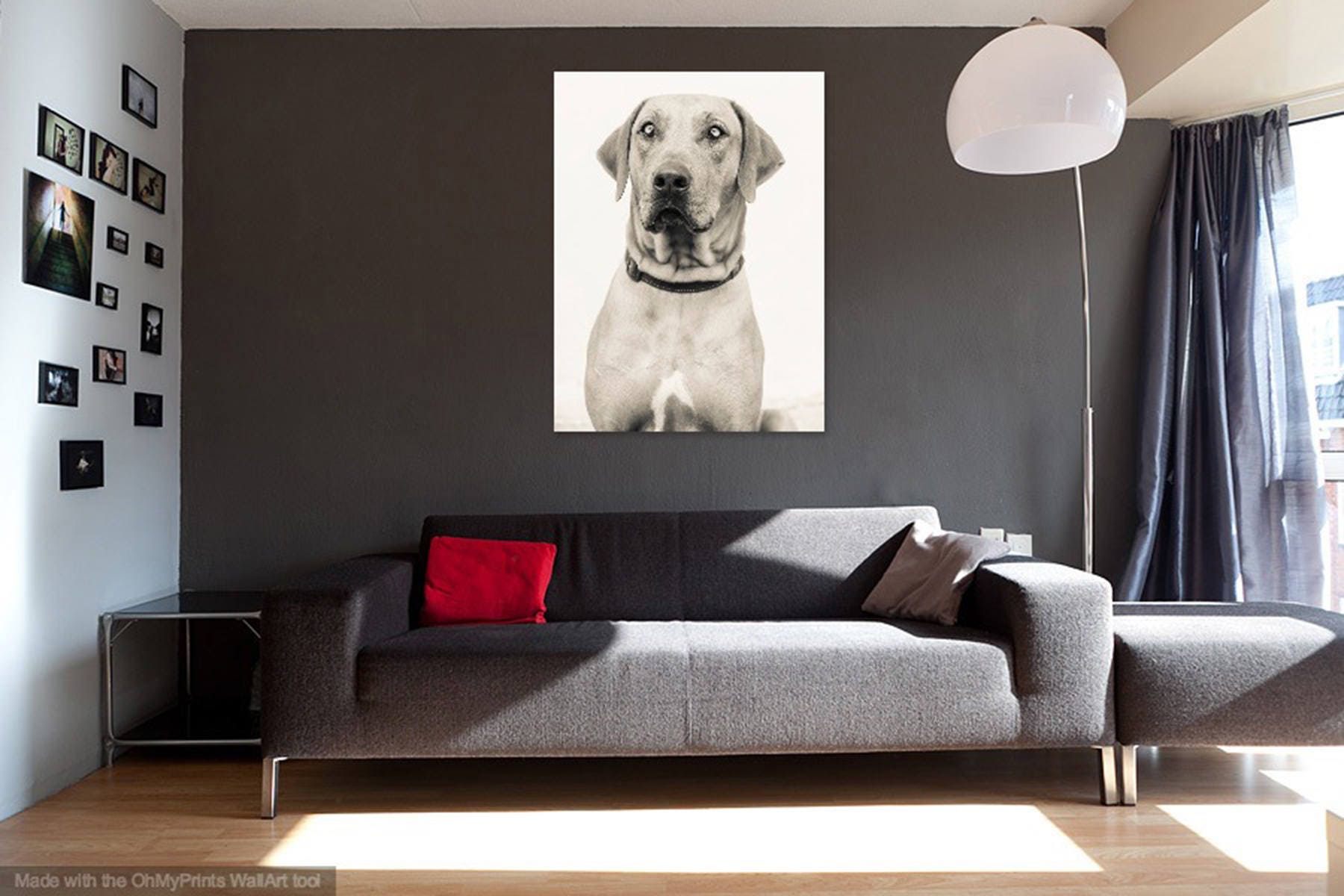 gallery photo