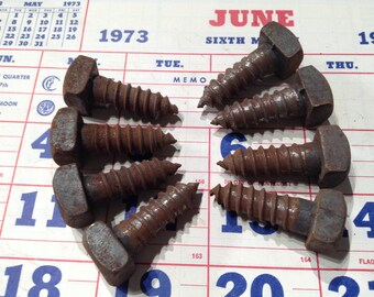 8 Vintage Lag Bolt Screws, Industrial Lag Bolts, Rusty Square Head Lag Screws, Salvaged Hardware, Steampunk, Assemblage Supply, Metal Supply
