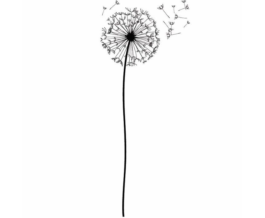 Download Dandelion #1 Flower Blow Pedal Wish Nature Garden Plant Grow Stem .SVG .EPS .PNG Instant Digital ...