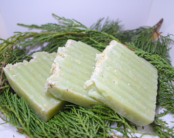 Peppermint oatmeal body/hand soap