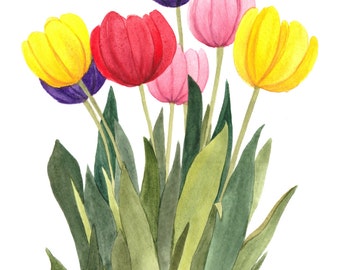 Multi Colored Tulipsl Watercolor Reproduction by Wanda Zuchowski-Schick