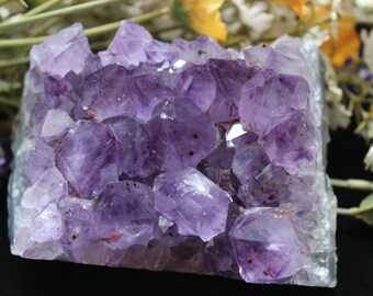Amethyst Cluster, Brazil
