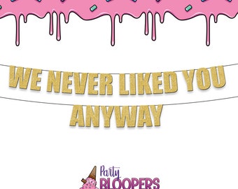 We NEVER LIKED YOU Anyway - Fun/Rude Party Banner for Leaving, Goodbye, Retirement, New Job, Divorce Parties!