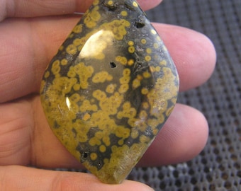 Ocean Jasper Free Form Designer Cabochon Primo