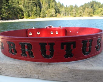 Personalised Leather Dog Collar, Engraved Dog Collar, Name Dog Collar, Leather Name Collar, Large Dog Collar