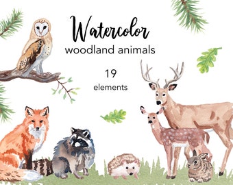 WATERCOLOR CLIPART, deer clipart, watercolour clipart set, commercial use, png files, bear clip art, woodland, png, digital, nursery, forest