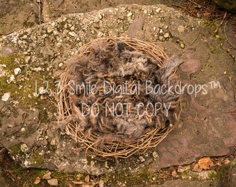Brown Nest Digital Backdrop