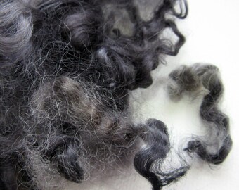 Black Curly Locks - Sheep Curls - Needle Felting - Dolls Hair - Felting Supplies 1/2 oz