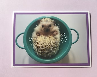 Set of 8 Hedgehog in Strainer folded note card set with envelopes. Inside is blank.
