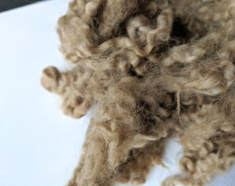 Naturally Dyed Border Leicester Wool Locks - Maple Leaves