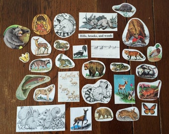 Through the Woods paper ephemera pack