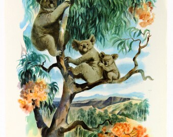 Koala Bears Cover S. S. Lurline Captain's Dinner Menu 1965 Matson Cruise Line 22447