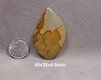 Wild Horse Jasper Cabochon