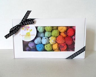 Rainbow Seed Bomb Gift Box - Unique Hostess Gift, Gardening Gift, Stocking Stuffer