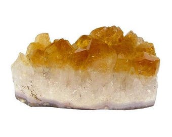 Twin / 50-75mm citrine druzy (model D)