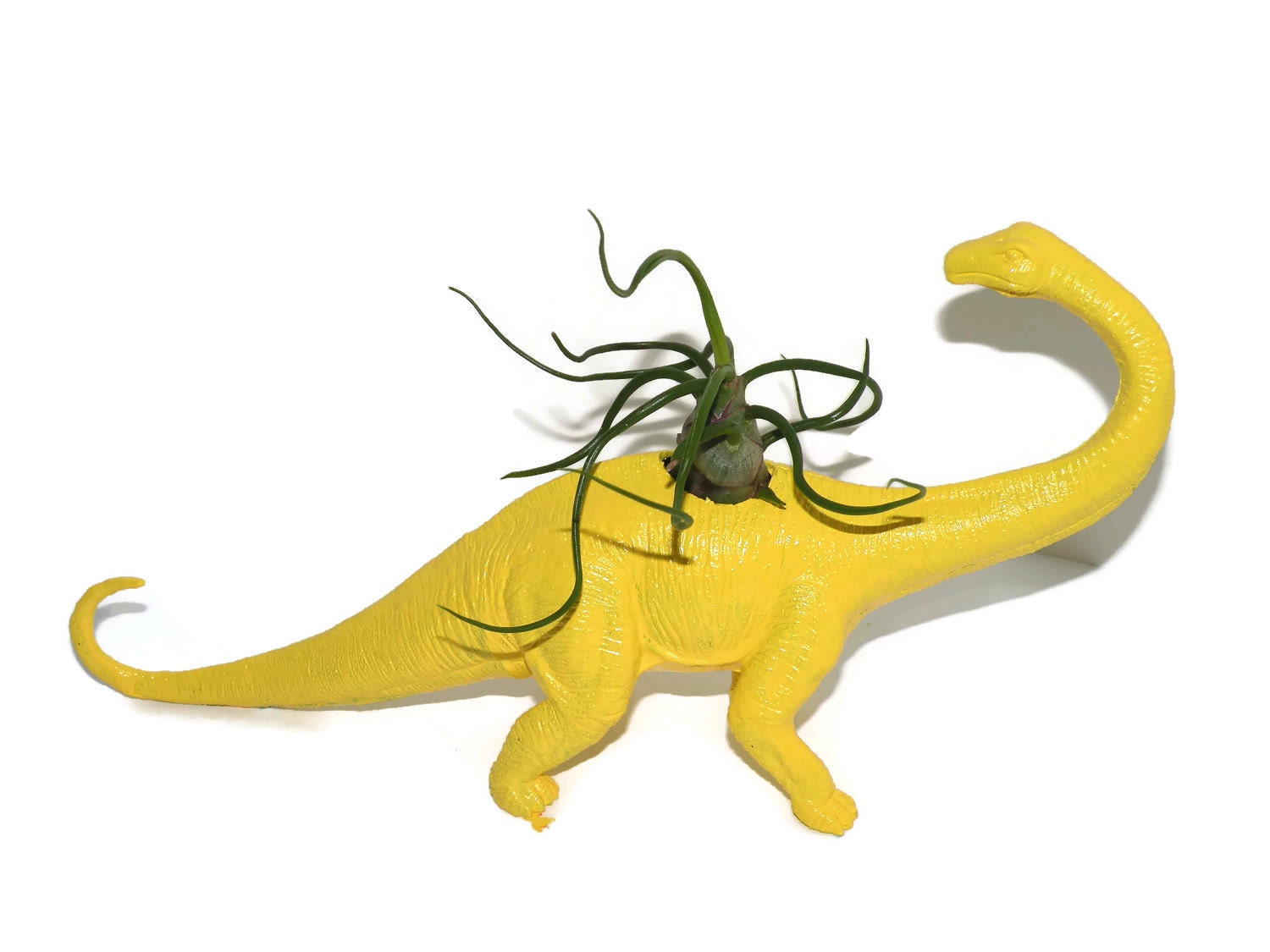 dinosaur with yellow head