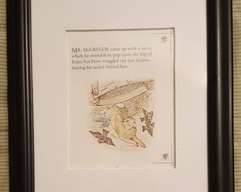 Peter Starts His Escape - The Tale of Peter Rabbit - Beatrix Potter - Aproximaitely 5 1/2 x 7 1/2 inches