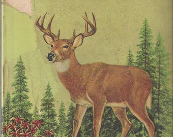 Vintage Mammals A Golden Nature Guide Book, C1955