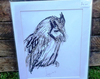 Scops Owl Original Drawing