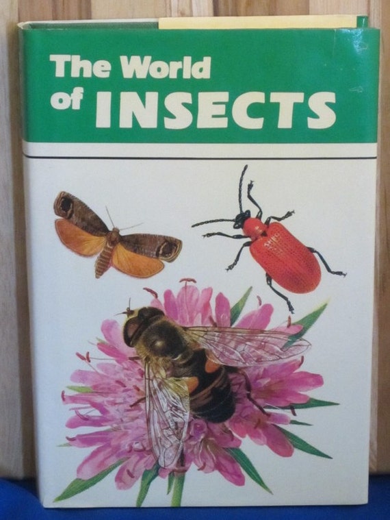 The World of Insects + Adriano Zanetti + 1979 + Vintage Kids Book