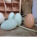 Primitive Handpainted Wooden Spring Chicken Eggs