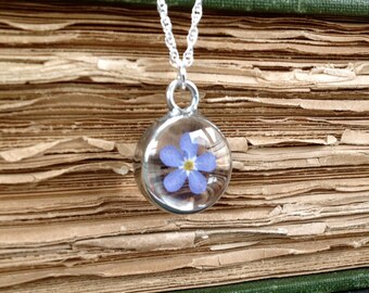 Real forget me not flower pendant on a sterling silver chain. Nature's Reliquaries Collection