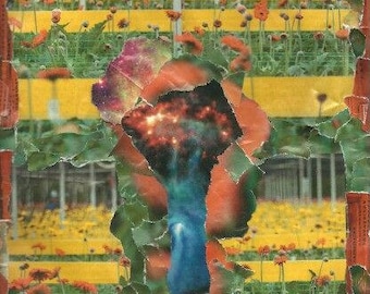 Collage (Poppy field nebula)