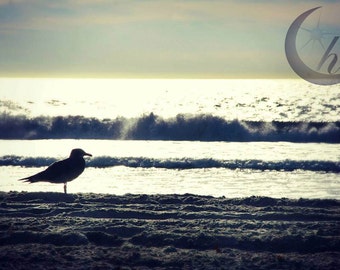 Nature Photography. Beach Photography. Summer Photography. 8x12 Print