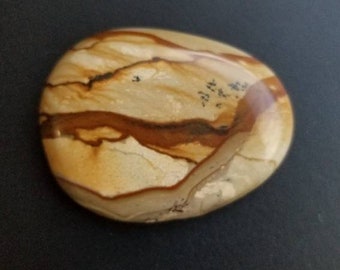 58.5 owyhee cripple creek picture jasper cabachon
