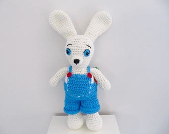 Mr. rabbit and his carrot
