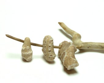 Chain Coral TRIO Beach Stone Fossils Pebble Beads Rare Pendants Jewelry Bead River Rock Organics Natural Artisan Charms