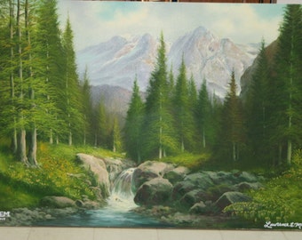 Black Spruce Alaska