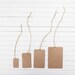 Kraft Gift Tags with String