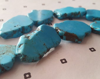 Free Form Howlite Turquoise app.23x34mm (6)