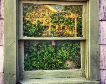 Window Pane Reflection
