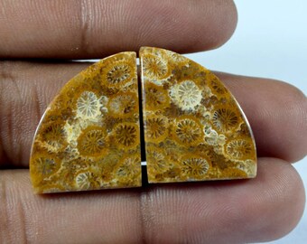 Superior Natural Fossil coral Designer Gemstone Matched Pair 29x21x5 mm Fancy 38 Cts loose gemstone - Making Jewelry