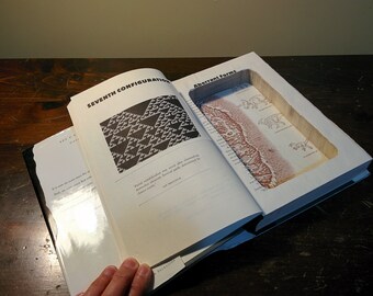 Hollow Book (The Lost World)