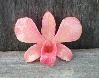 Free Shipping REAL Natural True Pink ORCHID in Poly Resin Pin and Pendant