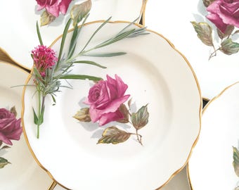 6 porcelain dessert plates in GIEN faience