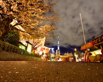 Sensō-ji Temple at night with cherry blossoms in Tokyo, Japan
