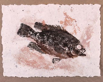 ORIGINAL " FOSSIL " ( Fish Rubbing ) on hand made Paper 8.5 X 11 Rock Bass Lake Art Fishing Fisherman Decor by Barry Singer