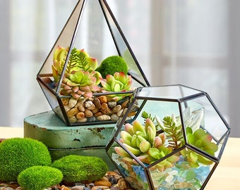 Decorative Terrariums - Orb or Teardrop-Geometric-Succulent-Home Decor-Garden-Tea Party-Shower-Father's Day-Gift