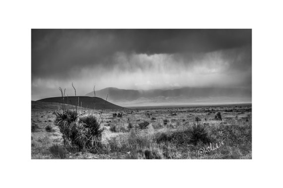 White oaks rainstorm fine art photography new mexico landscape black and white high desert romance ranch house chic rural dramatic western White oaks rainstorm fine art photography new mexico landscape black and white high desert romance ranch house chic rural dramatic western