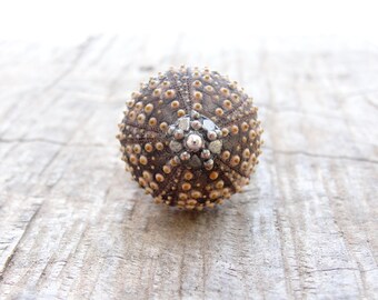 Sea Urchin Ring Sterling Silver Brown Sultan Ring