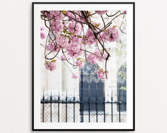 Paris Photography - Cherry Blossoms in Paris, Springtime in Paris, Paris Wall Art, Paris Print, Paris Decor, Notre Dame, Paris Bedroom Decor