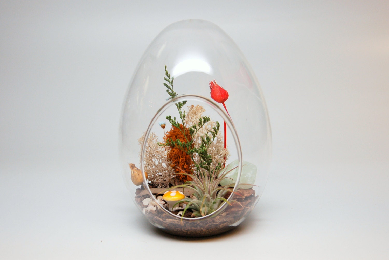 DIY Egg Glass Terrarium Kit with Moss Clay Mushroom Dried