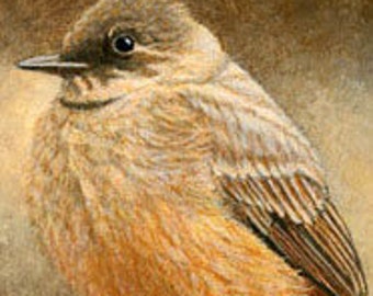 PRINT, Says Phoebe, birds, 5 X 7, Giclee prints, bird decor, bird decor, birds, Ellen Strope, home decor, art prints, song birds, bird art