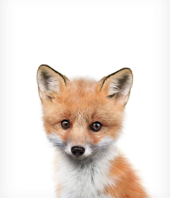 Geeky image intended for baby animals printable Sassy image in baby animals printable