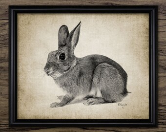Rabbit Print - Rabbit Illustration - Rabbit Decor - Rabbit Art - Digital Art - Printable Art - Single Print #641 - INSTANT DOWNLOAD